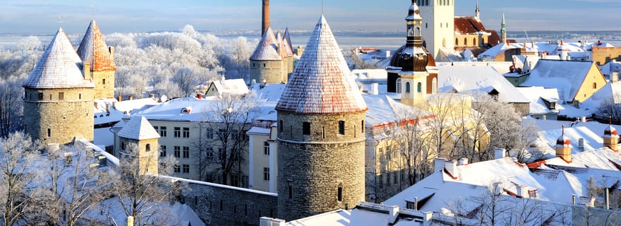 Les joies de Noël à Helsingør - Visite à pied privée