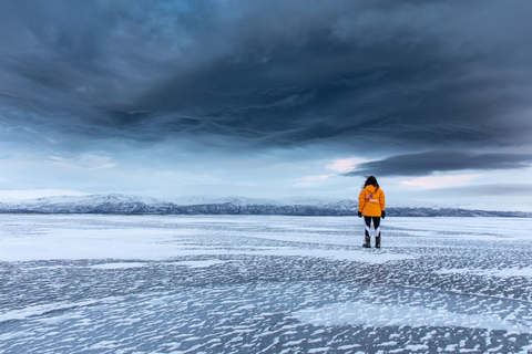 Park Narodowy Abisko: malownicza poranna wędrówka z transferem