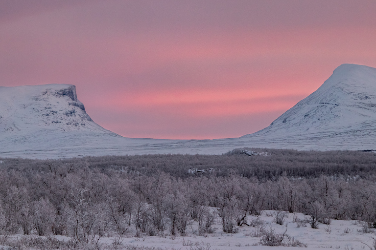 Park Narodowy Abisko: malownicza poranna wędrówka z transferem