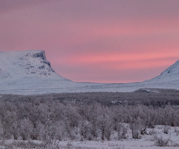 Abisko National Park: Scenic Morning Hike with Transfer