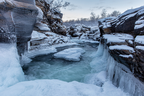 Abisko National Park: Landschaftliche Morgenwanderung mit Transfer