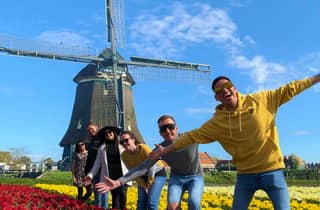Von Amsterdam aus: Tulpenfelder und Windmühlentour mit Mittagessen