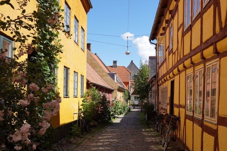 Helsingør: 2-godzinna romantyczna wycieczka piesza z przewodnikiem