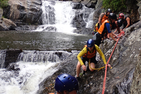 Cairns: Tour d&#039;avventura Crystals &amp; Behana - Canyoning a CairnsEsperienza nella foresta pluviale delle cascate di Cairns Giornata intera avanzata