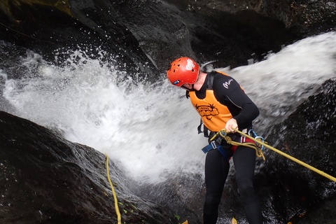 Cairns: Tour d&#039;avventura Crystals &amp; Behana - Canyoning a CairnsEsperienza nella foresta pluviale delle cascate di Cairns Giornata intera avanzata