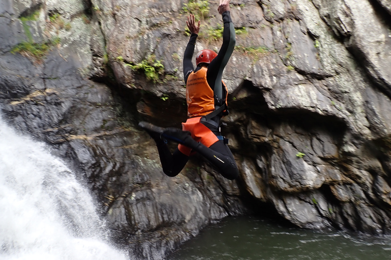 Cairns: Tour d&#039;avventura Crystals &amp; Behana - Canyoning a CairnsEsperienza nella foresta pluviale delle cascate di Cairns Giornata intera avanzata