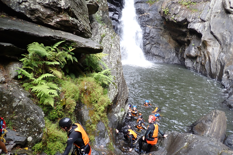 Cairns: Tour d&#039;avventura Crystals &amp; Behana - Canyoning a CairnsEsperienza nella foresta pluviale delle cascate di Cairns Giornata intera avanzata