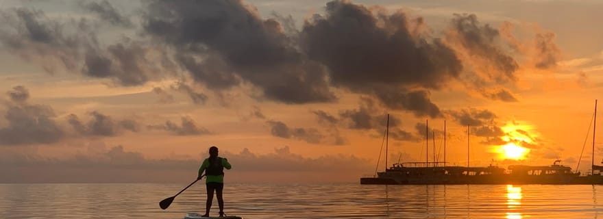 Cancun : Tour de Stand-Up Paddleboarding au lever et au coucher du soleil