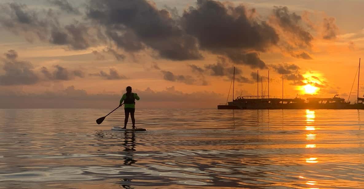 Cancun Sunrise/Sunset StandUp Paddleboarding Tour GetYourGuide