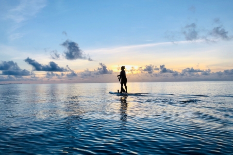 Cancún: stand-up paddlesurftour bij zonsopgang/zonsondergangSunrise Stand Up Paddle in Cancún