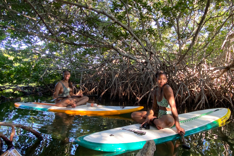 Cancun: Sunrise/Sunset Stand-Up Paddleboarding Tour Sunset Stand Up Paddle in Cancún