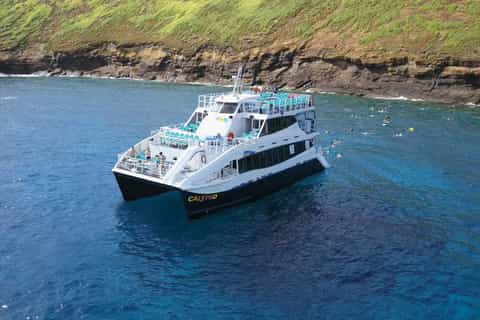 From Ma'alaea Harbor: Molokini Snorkeling Adventure