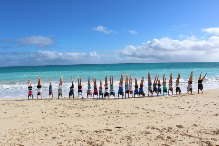 Oahu: Circle Island Ganztagestour mit North Shore Aktivität