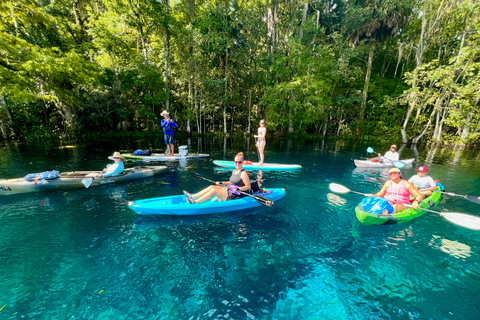 Silver Springs: Peixe-boi e macaco: passeio guiado de caiaque transparente