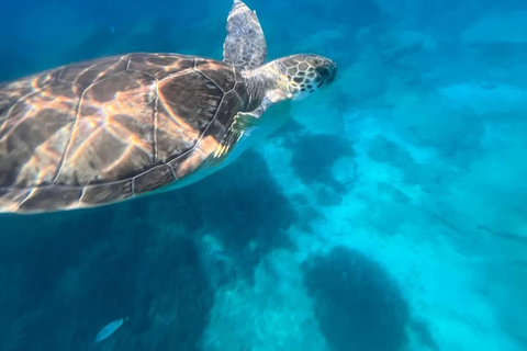 Larnaca: Yellow Submarine Swim Cruise with Unlimited Drinks