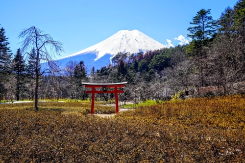Z Tokio na Fudżi: całodniowa wycieczka i rejs w HakoneWycieczka z lunchem sprzed rzeźby Love – powrót autobusem