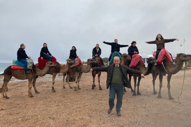 Tangier: Najważniejsze wydarzenia w mieście Discovery TourTangier Discovery Day Trip