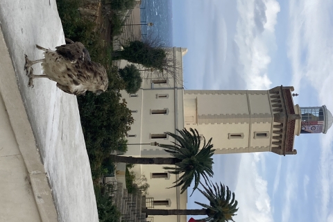 Tanger: hoogtepunten van de stad Discovery TourTanger Discovery-dagtrip