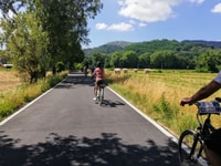 Lucques, Location de vélos avec pique-nique Déjeuner dans un vignoble - Hizvo