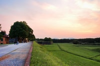 Lucques, Location de vélos avec pique-nique Déjeuner dans un vignoble - Hizvo