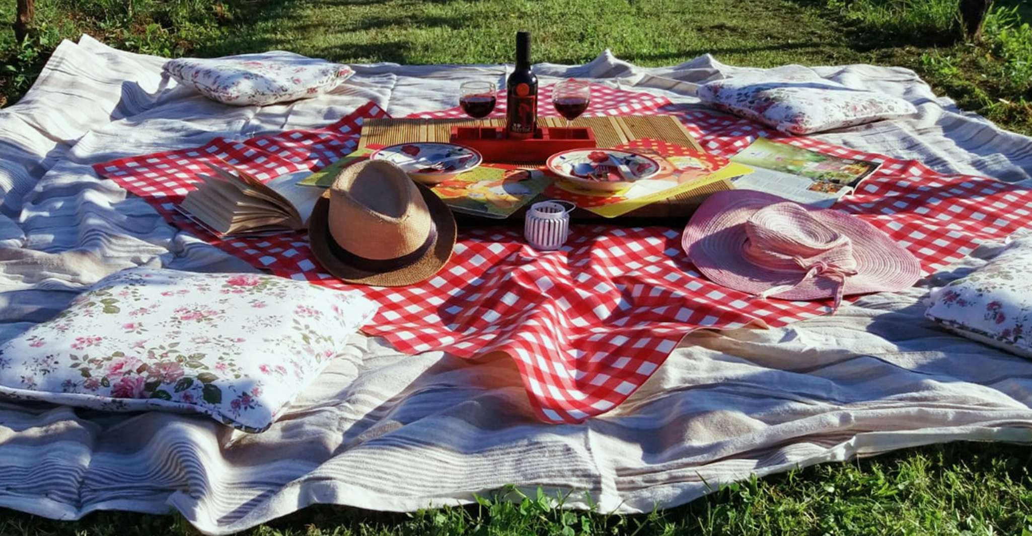 Lucca, Alquiler de bicicletas con almuerzo de picnic en un viñedo - Hizvo
