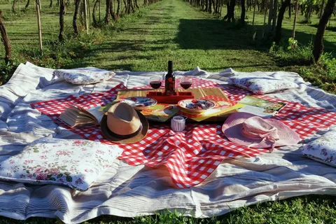 Lucca: Picnic Lunch at a Vineyard by Bike