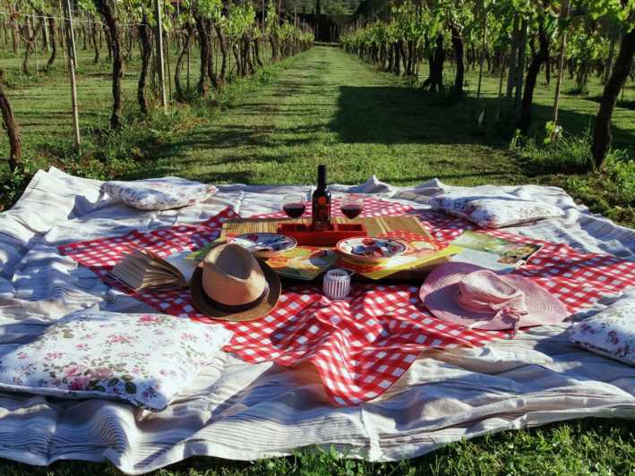 Lucca: Bicycle Rental with Picnic Lunch at a Vineyard