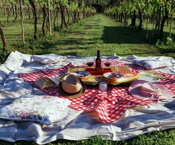 Lucca: Picnic Lunch at a Vineyard by Bike