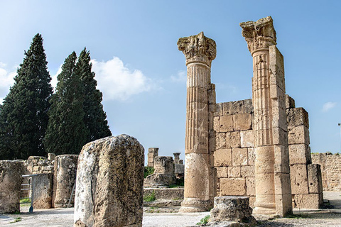 Sito archeologico di Utique - Ras Angela - BizerteDa Tunisi : Sito archeologico di Utique - Bizerte