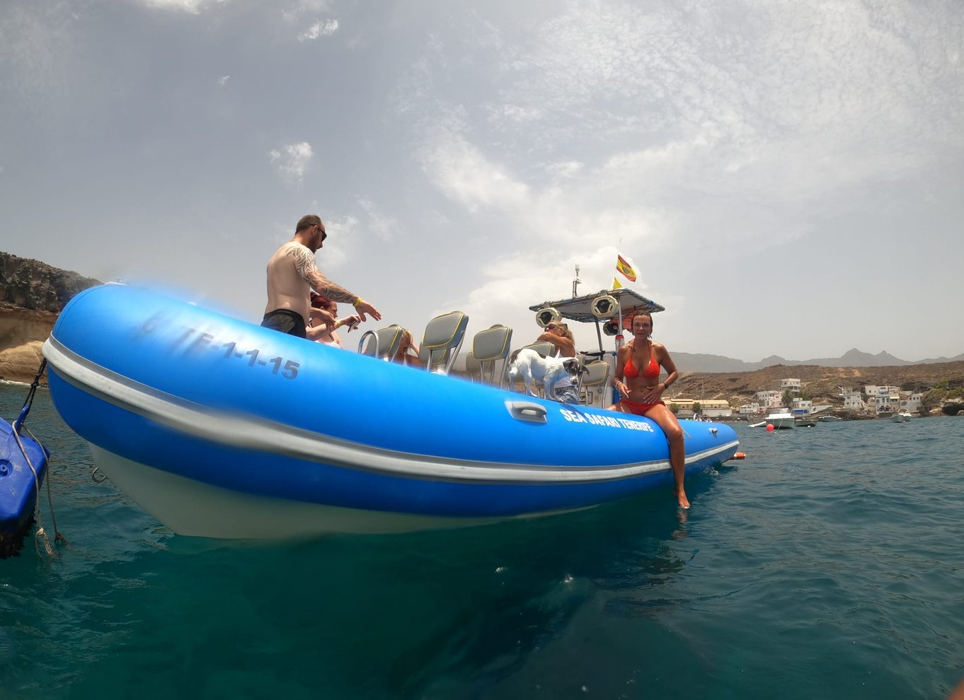 Puerto Colon: Speedbådscruise med delfin- og hvalsafari