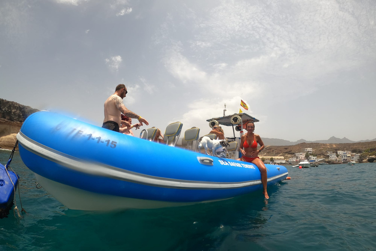 Puerto Colon: Dolphin and Whale Watching Boat to Masca Bay