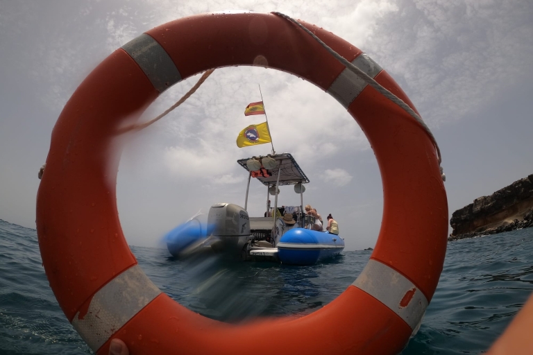 Puerto Colón: barco de avistamiento de delfines y ballenas a la bahía de Masca