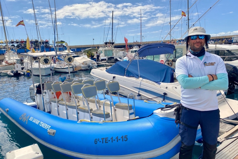 Puerto Colon: Delfin- und Walbeobachtungsboot zur Masca-Bucht