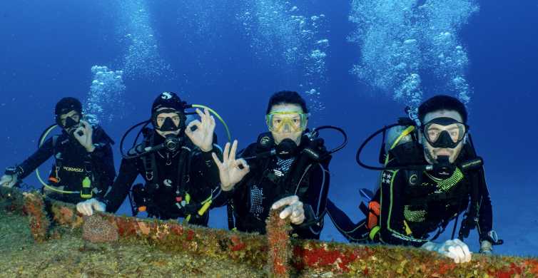 The BEST Cozumel Diving 2023 - FREE Cancellation | GetYourGuide