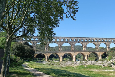 Acueducto romano de Pont du Gard, Aviñón Palacio del Papa