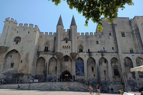 Roman Aqueduc of Pont du Gard, Avignon the Pope Palace