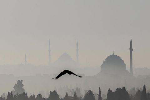 Istambul: excursão à Hagia Sophia, Mesquita Azul, Cisterna e Bazar