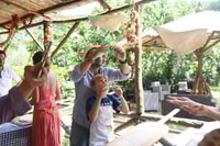 Sorrento, visite de la ferme avec une leçon de pizza, du vin et du limoncello - Housity