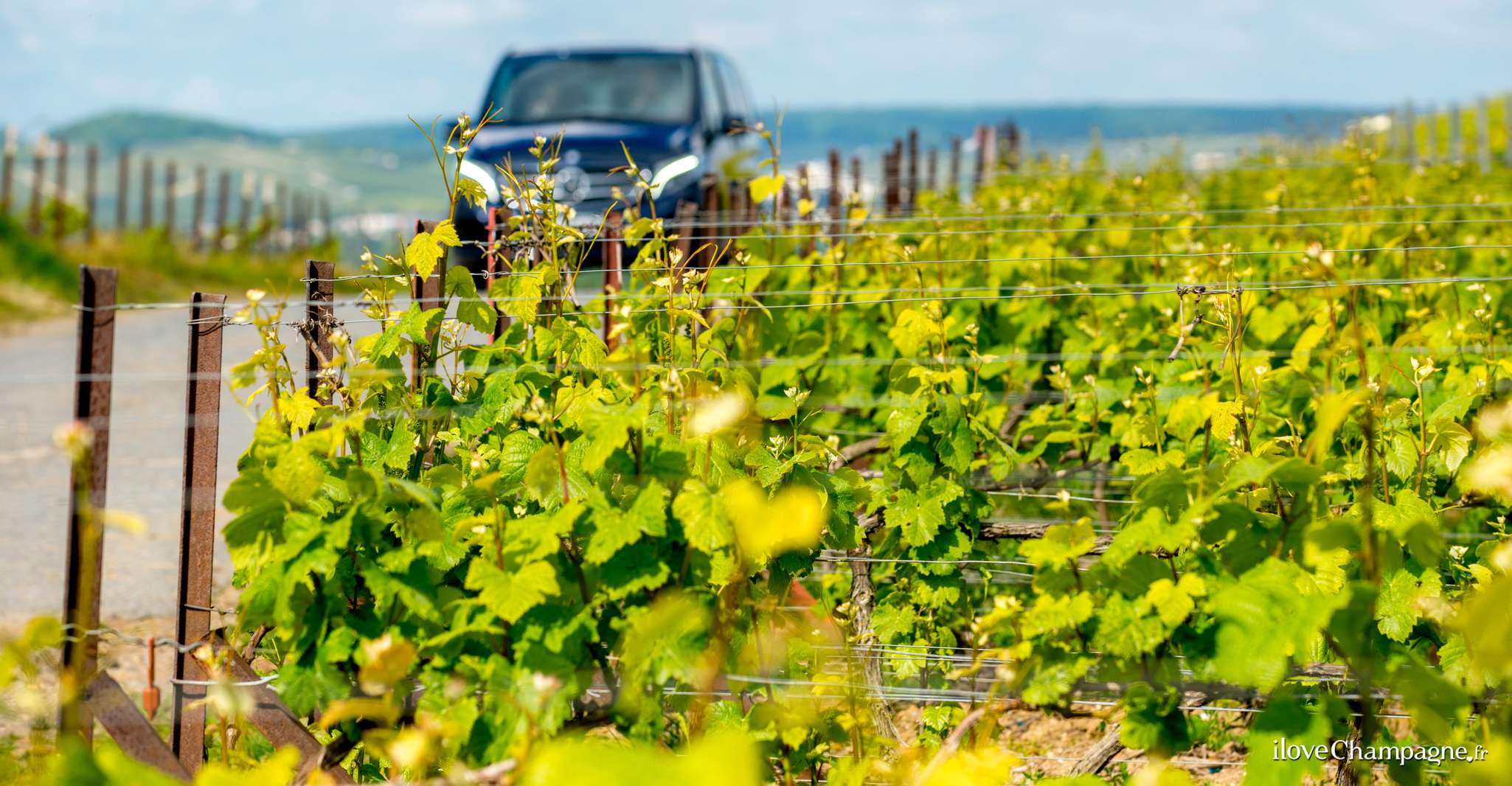 From Reims, Morning Champagne Tour and Tastings - Housity