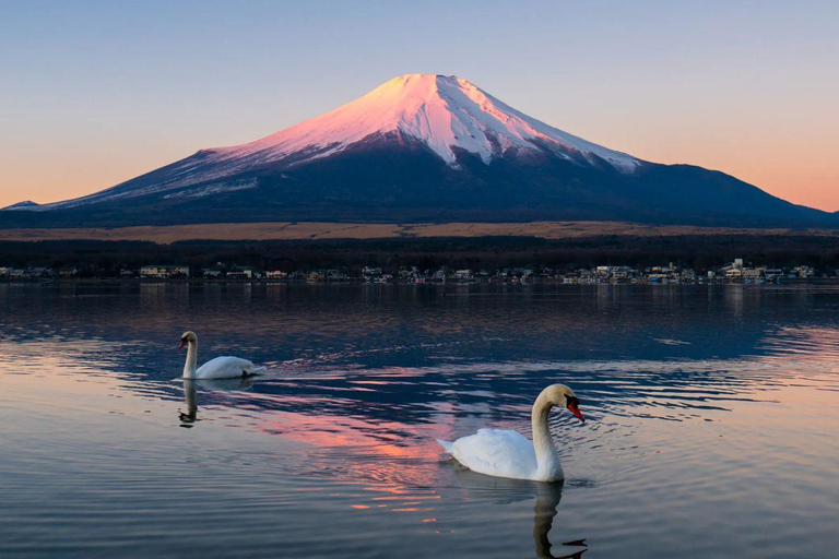 Mt Fuji Private Luxury Full-Day Tour with customization