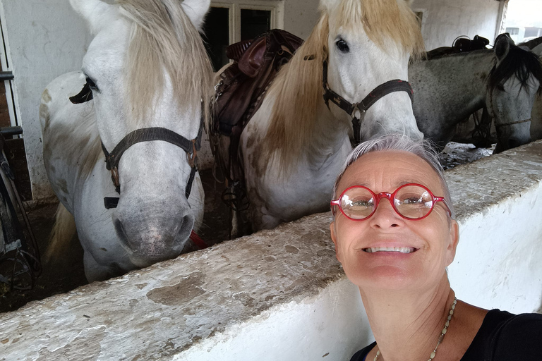 Rzymskie miasto Arles, Park Narodowy Camargue