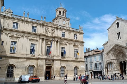 Aix-en-Provence: Arles, Baux & Saint-Rémy-de-Provence Tour