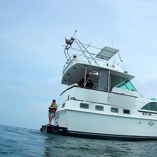 Lima: Ocean Swimming Adventure with Playful Sea lions