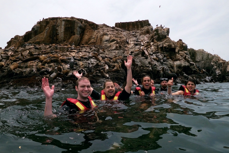Lima: Aventura de natación en el océano con leones marinos juguetones