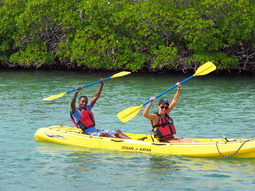 Saint Thomas: Mangrove Kayak and Snorkel Tour