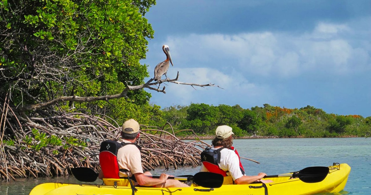 St. Thomas Bird Island Sunset Kayak Adventure GetYourGuide