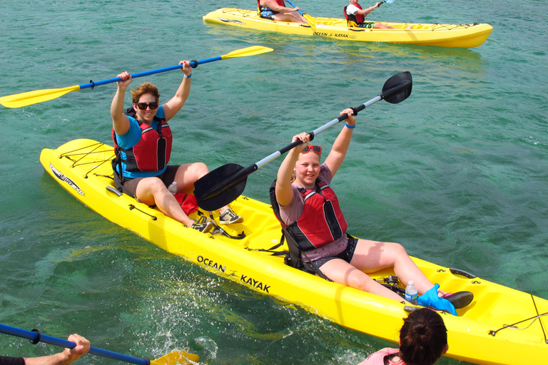 圣托马斯红树林皮划艇、徒步和浮潜 3 小时之旅圣托马斯红树林皮划艇、远足和浮潜 3 小时旅游