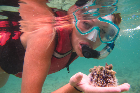 圣托马斯红树林皮划艇、徒步和浮潜 3 小时之旅圣托马斯红树林皮划艇、远足和浮潜 3 小时旅游