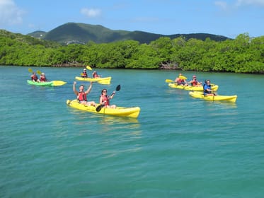 St. Thomas Mangrove Kayak, Hike, & Snorkel 3-Hour Tour | GetYourGuide