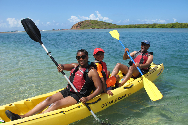 圣托马斯红树林皮划艇、徒步和浮潜 3 小时之旅圣托马斯红树林皮划艇、远足和浮潜 3 小时旅游